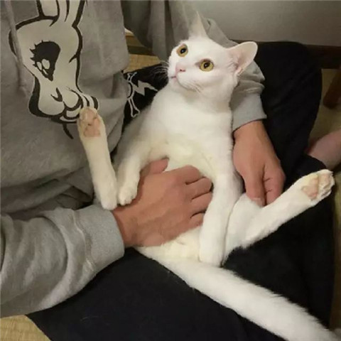 男生撩妹适合用的头像,用这些头像更能吸引女生